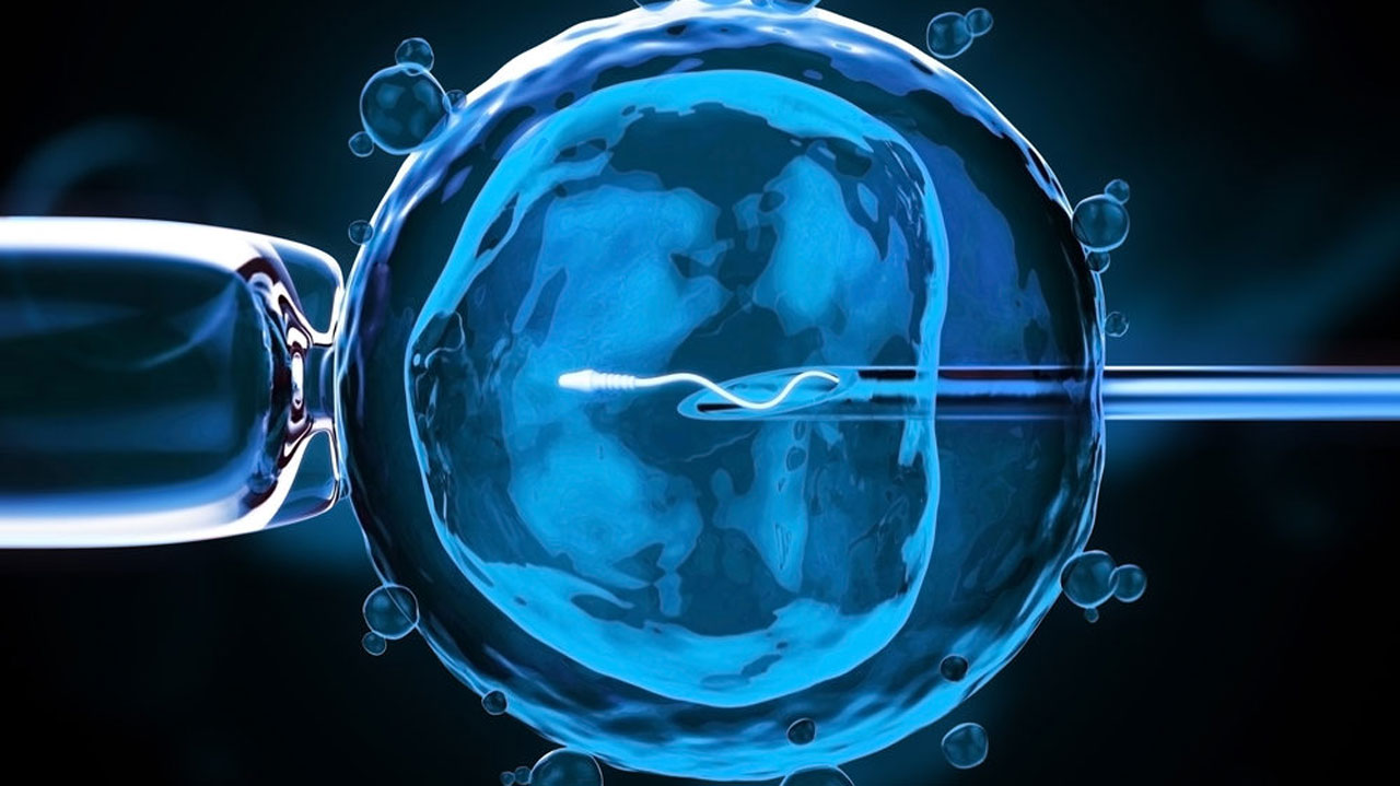 Treatment of infertility & in vitro-fertilization methods